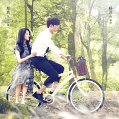 楊洋 - 微微一笑很傾城  Yang Yang - Just One Smile is Very Alluring (Lyrics)