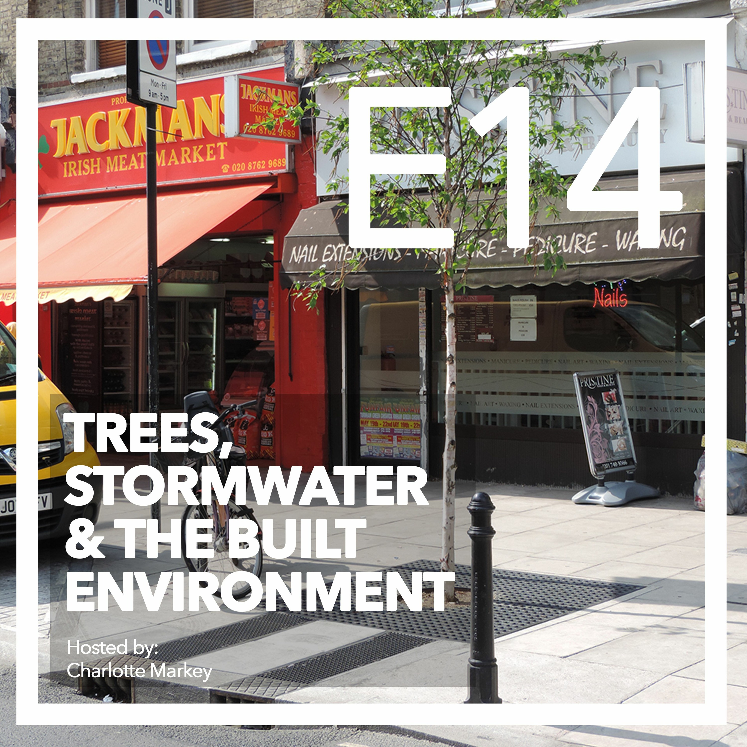 Trees-Stormwater