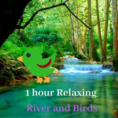 RELAXING NATURE_Forest River and Birds Chirping Sounds