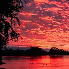 NEW IRELAND BLO ME - Jayrex Suisui & Coral Springs (2018)