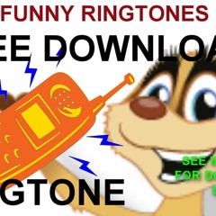 Meerkat Ringtone Meerkat Chatter Funny Ringtone Free Download
