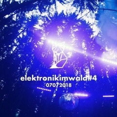 Elektronikimwald #4