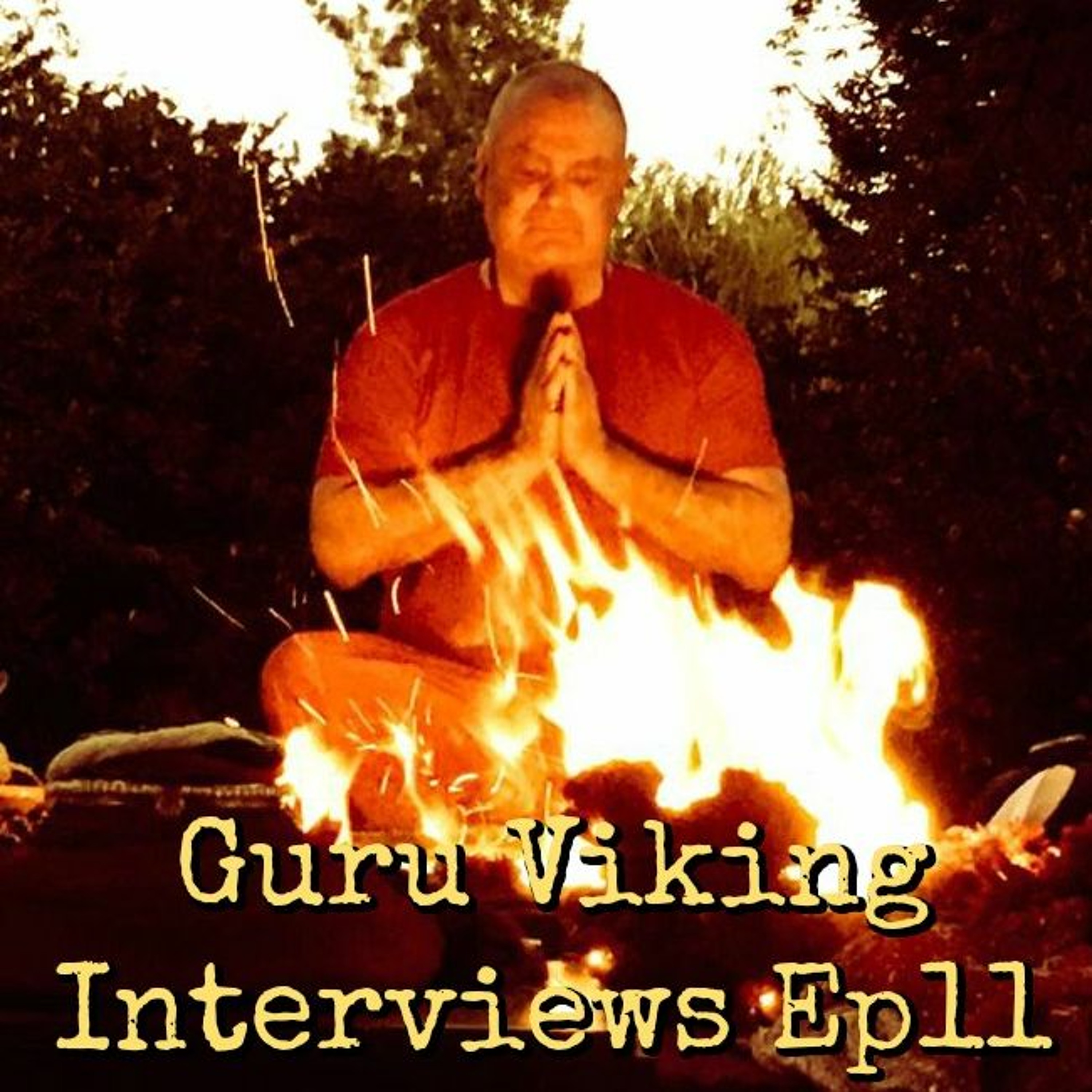 Ep11 Swami Chetananda - Guru Viking Interviews