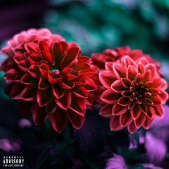 Heatah Szn