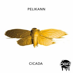 Pelikann - Cicada