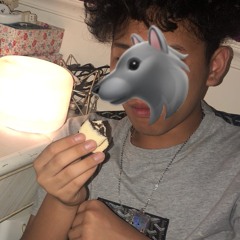 Dolphinboy Wolf