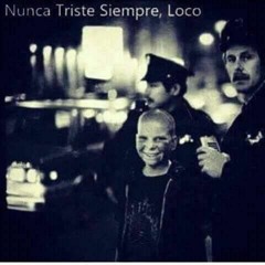 chamo mena C.T.M