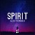 Artwork for Elektronomia - Spirit