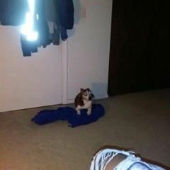 BLOOOP - Bryan Cha$e X B - Free X Okasian [ENG SUB  HANGEUL]