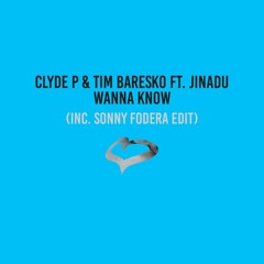 Clyde P & Tim Baresko ft. Jinadu - Wanna Know (Original Mix) [Solotoko] [MI4L.com]