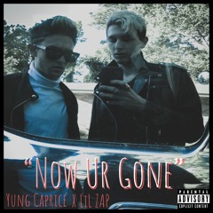 Yung Capricé X LiL ZAP - mADdHattER