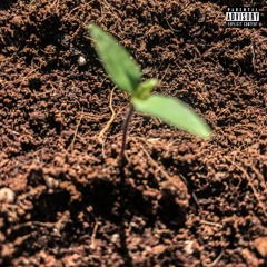 Throw You Away (Single Version)