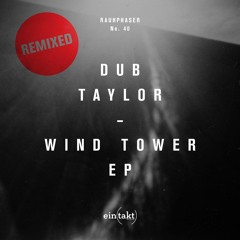 Dub Taylor_Dubber_(Frank Hellmond Remix)