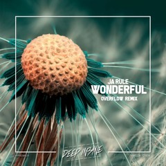 OverFlow - Wonderful (Remix) [FREE DOWNLOAD]