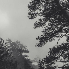 SLEEP PARALYSIS (NICK MIRA x JUICE WRLD TYPE BEAT)