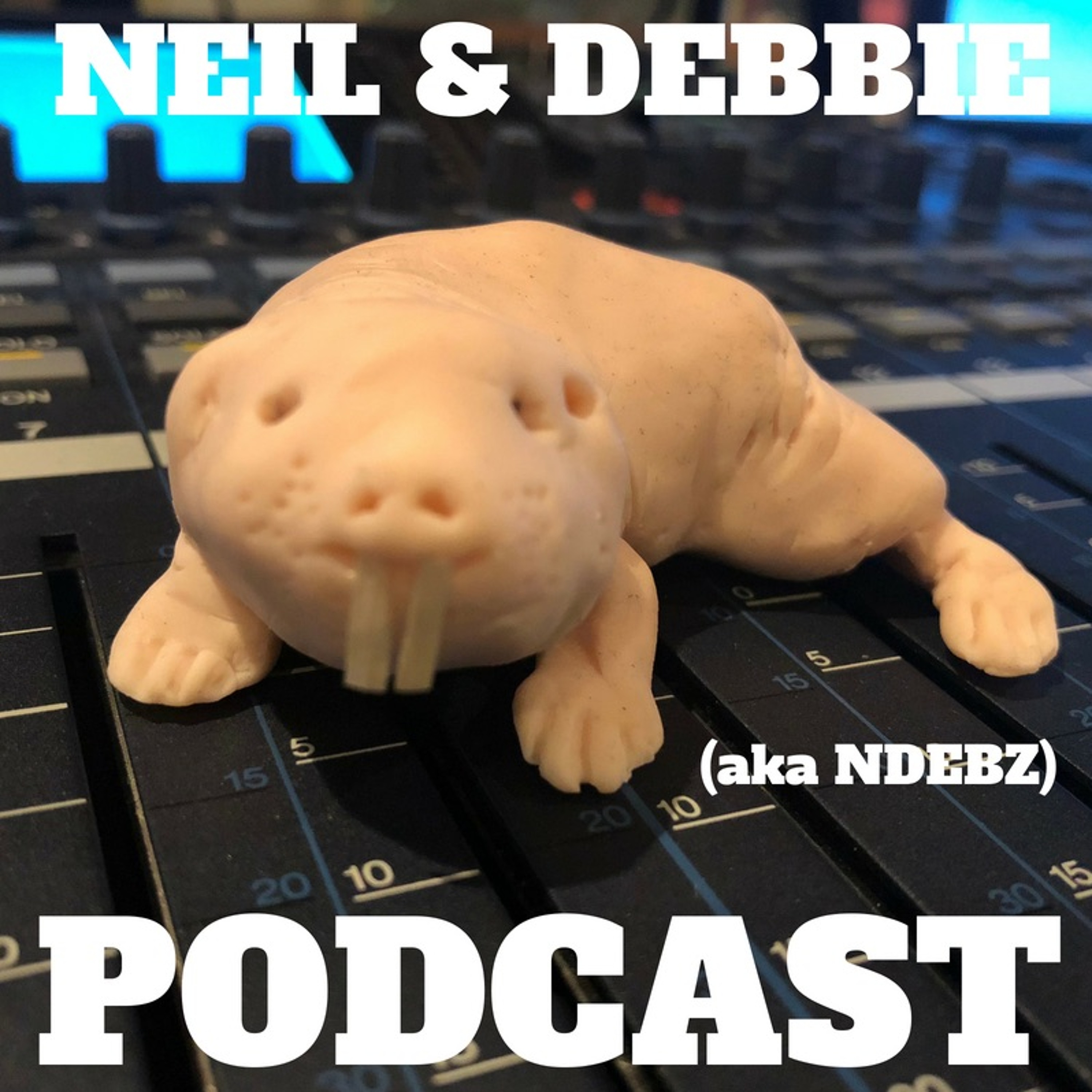 Neil & Debbie (aka NDEBZ)