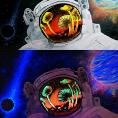 Dr. Peacock  Sefa - The Universe