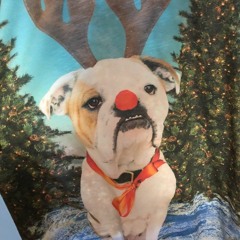 Yeom - 메리 크리스마스 미스터 루돌프