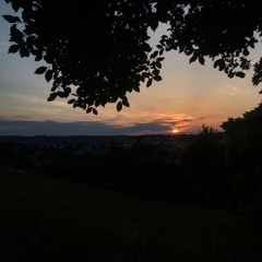 Inner-city Walks Mix #8
