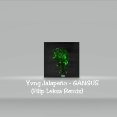 Yvng Jalapeño - GANGUS (Filip Leksa Remix)