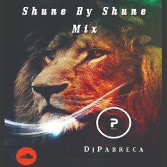 Shune By Shune Mix - Dj Pabreca