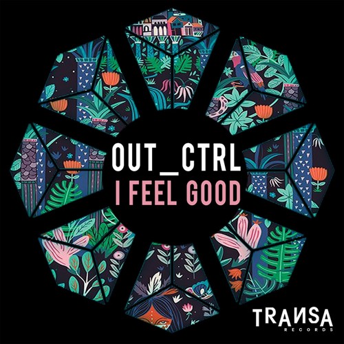 Out_Ctrl - I Feel Good (Original Mix)