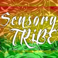 Sensory TRiBE - Who We Are