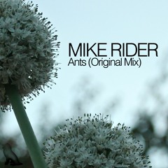 Ants (Original Mix) - Mike Rider
