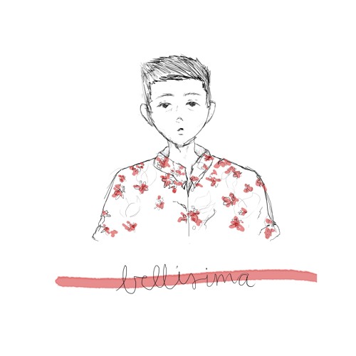 PICKET FENCES