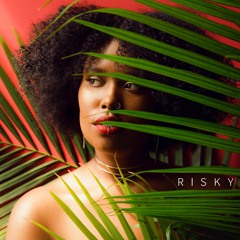 Risky (prod. Prov)