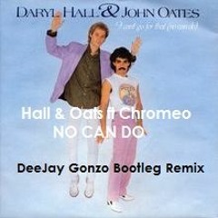Hall & Oats Ft Chromeo - I Cant Go For That, No Can Do (DeeJay Gonzo Bootleg Remix)