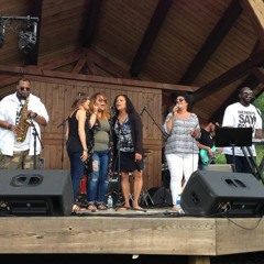 2018 WRFA Great American Picnic - Steve Davis Group