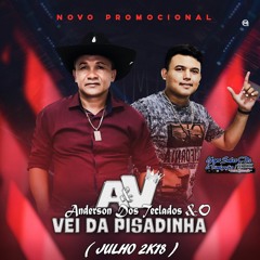 Espinhaço do Vei - Anderson e o Vei Da Pizadinha -  Siga:@ Ygor Sales Cds e Divulgações