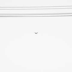 Very Sorry (Prod. by Foster)