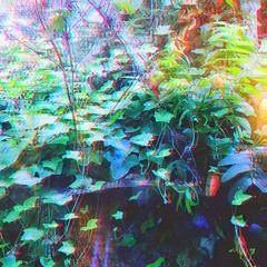 there's a jungle out my window