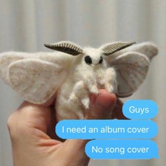 she likes me. (Prod. Kylerbb)