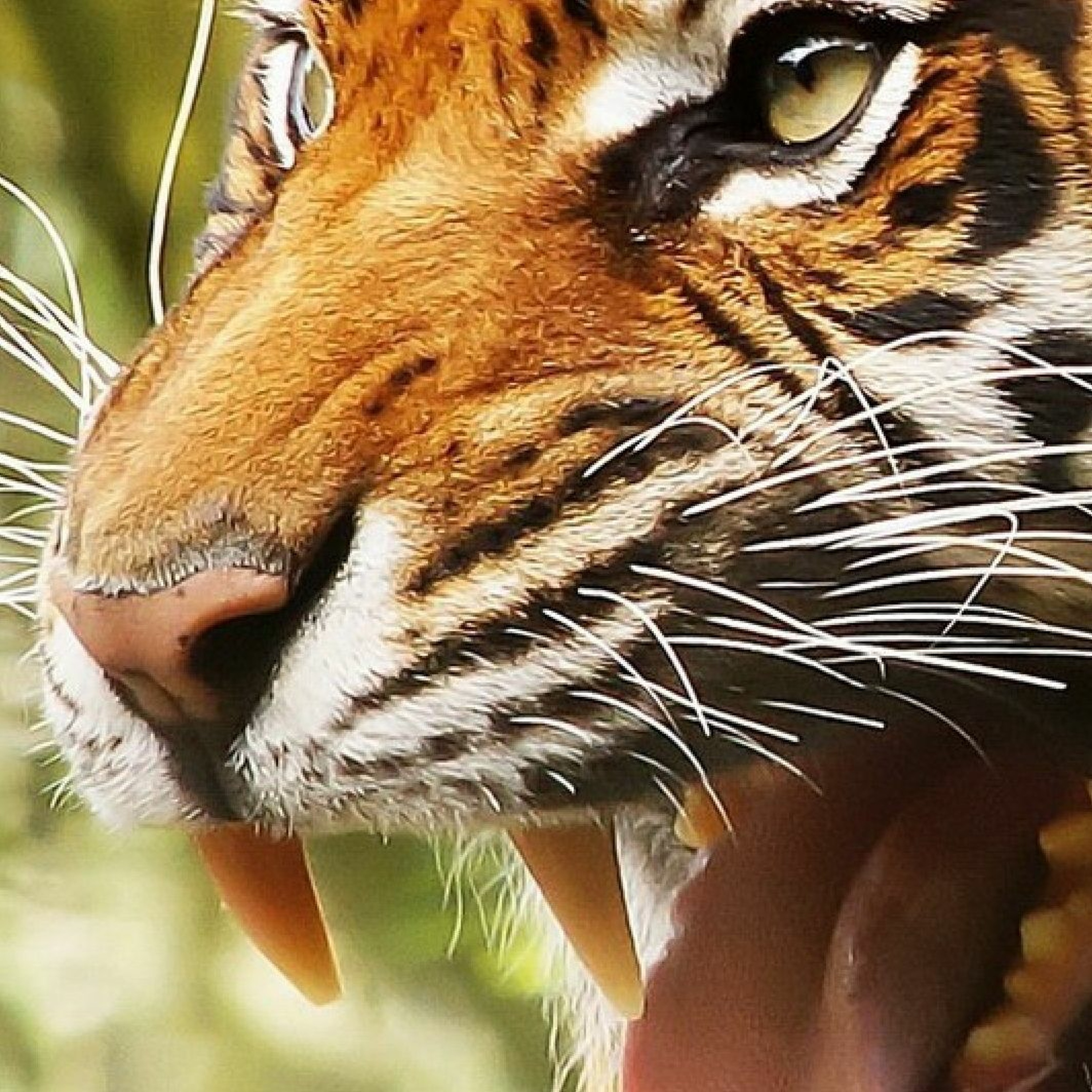 MAKKƎN