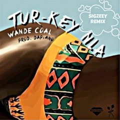 Wande Coal x Tur-Key Nla (SIGZEEY REMIX) (Prod. Da'piano)