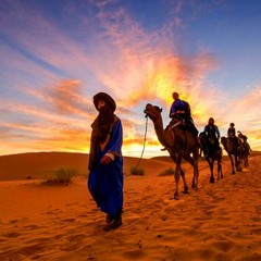 sahara dreams (pschizo production)