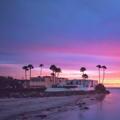 Trippin' Paradise