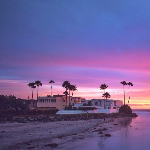 Trippin' Paradise