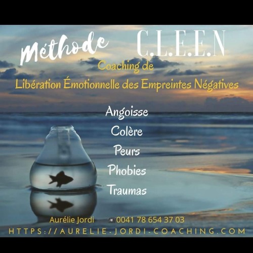 Méthode CLEEN Coaching de Libération Émotionnelle des Empreintes Négatives