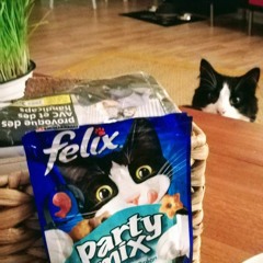 Party mix for your cat