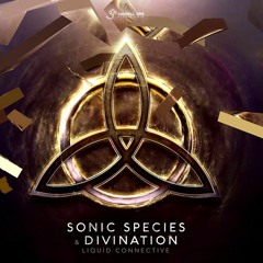 Sonic Species  Divination - Liquid Connective