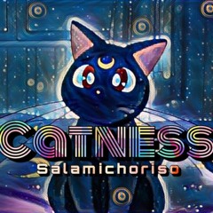Catness (Prod. Dvtchie) // קאטנס