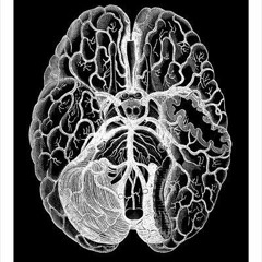 OG Somage Mortal Kombat Freestyle