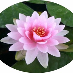Doa Nammo Avalokiteshvara - Guruji Gede Prama ( 2018)