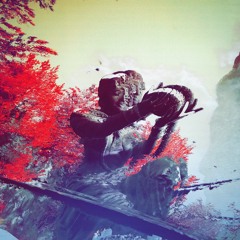 Susumu Hirasawa - Island Door (versaris remix)