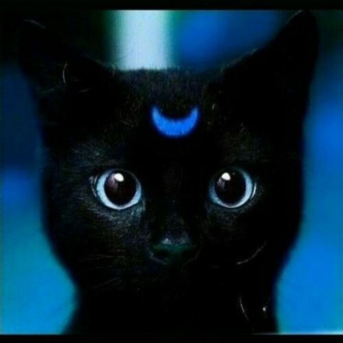 Isma - All you need is love