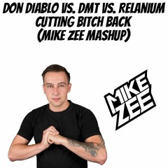 Don Diablo - Cutting bitch back (MIKE ZEE mashup)